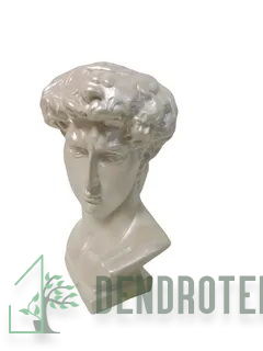 Кашпо "Бюст Давид"  9х17х8,5см