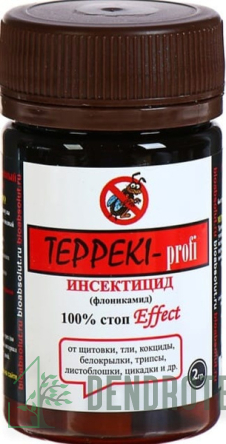 ТЕППЕКИ 2 гр.Сатурн