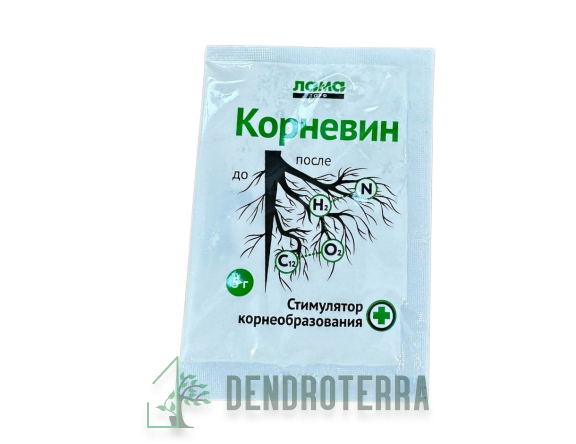 Корневин 5г.