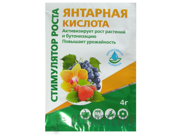 Янтарная кислота 4г